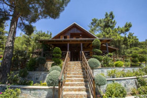 Ricky Chalet Near Troodos